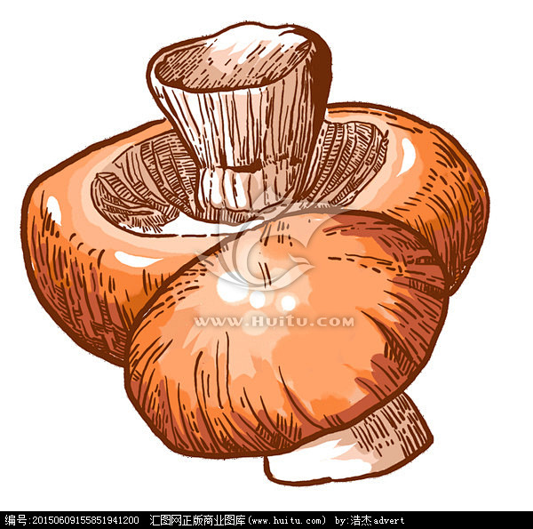 香菇插画