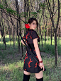 0072v6KZly1hpn7ddjbx1j31w12iqnpe