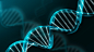 医疗素材 生物科技 DNA