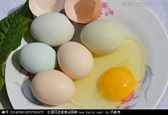 Levana_sun采集到素材-鸡蛋