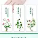 佰草集详情页新玉润化妆水化妆品详情页