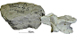 德国研究人员3D打印恐龙化石模型- 行业新闻 资讯频道-三达网