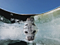 April 17，2014

加拿大魁北克玛德琳群岛，出生在冰上的小海豹。

摄影：David Doubilet、Jennifer Hayes