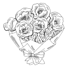 hanson-冯汉军采集到C-插画-植物线稿