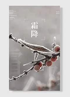 雪来松更绿霜降月弥辉唯美霜降二十四节气设计海报