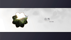 bYssnT3W采集到VI