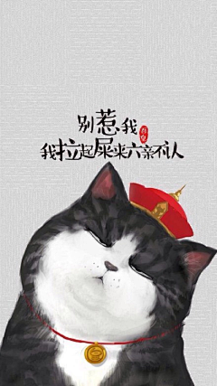 浣红尘采集到那猫&那咪