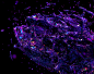 21.3 Million : Fluid sims, wide apertures and glows. The usual. 