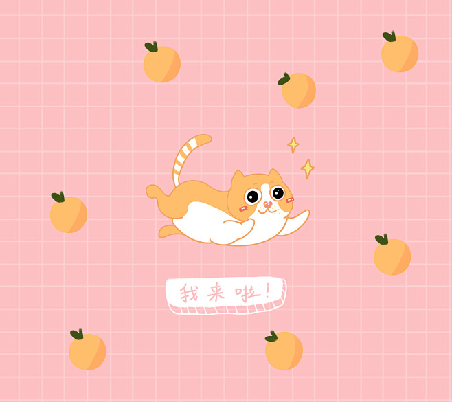 可爱猫