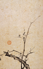 中國傳世名畫——花鳥卷（八）【45P】