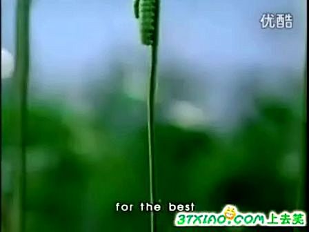 统一绿茶泰国搞笑广告—在线播放—优酷网，...