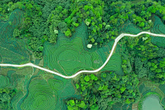 四丫头与四丫头采集到插画