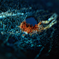 Top Creative Work On Behance : Showcase and discover creative work on the world's leading online platform for creative industries.