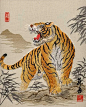 虎