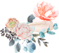 免费素材更新啦~【花卉素材】+【呕字透明底，自… - 半次元 - ACG爱好者社区