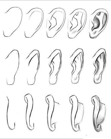 【耳朵手绘教程】手绘基础教程，找个时间练...