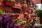 “The Roof”景观和生态立面设计，上海 / ASPECT Studios : 一场大胆、生态、超群的城市自然盛宴