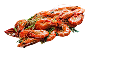 天蓝下普罗旺斯采集到食物