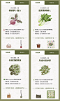 珑骧菜园快闪