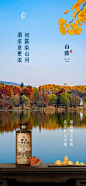 白露节气海报-源文件