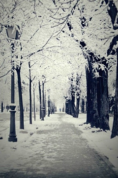 blue然采集到雪景