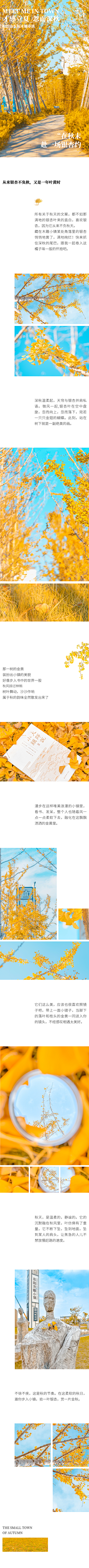 -晨曦：采集到公众号长图原创