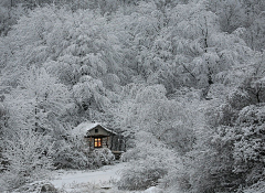 我想做个坏人采集到雪国