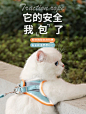 猫咪牵引绳背心式胸背带外出猫咪专用防挣脱溜猫绳子栓猫链子用品