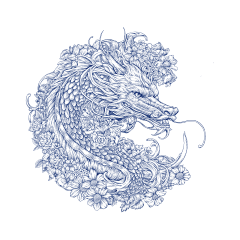 chakanghao采集到龙