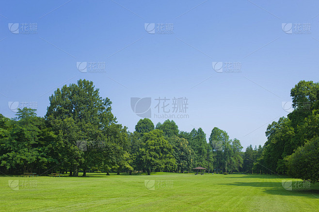 阳光明媚的公园