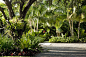 Lazenby Garden | Raymond Jungles, Inc.