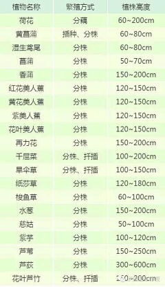 Emily&Emily采集到1-滨河、坡道绿地