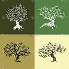 橄榄树图标设置。