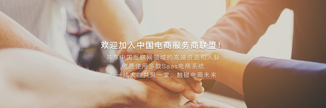 远丰集团-B2B/B2C/B2B2C/C...