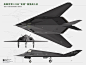 美国空军F-117“夜鹰”隐形战斗机