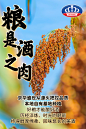 高粱，白酒工艺