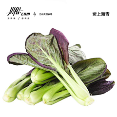 HOWHOWYANG采集到蔬菜