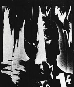 peggysuns采集到Brett Weston