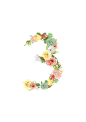 花朵数字1、2、3、4、5、6、7、8、9、0阿拉伯数字PNG