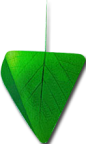 粽子 5