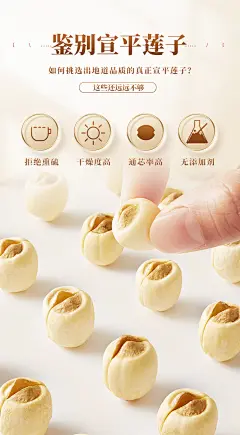 宣平贡莲白莲子干货500g软糯免泡去芯一级武义莲子宣莲无芯无熏硫-tmall.com天猫