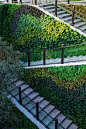 垂直绿化、绿墙、植物墙、立体绿化 (18)