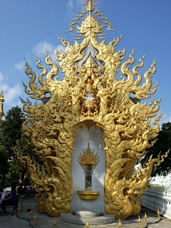Zhutum采集到印度