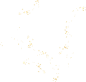 洒金蝴蝶