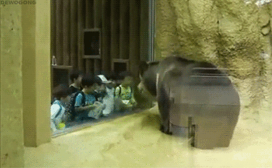 come on！跟我一起摇摆！