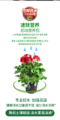 营养土养花通用型家用花卉盆栽泥土果蔬多肉花肥有机土壤绿萝杀虫-tmall.com天猫