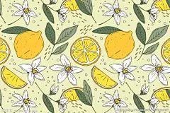 柠檬图案