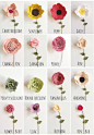 6 CUSTOM Felt Flower Clips with Tags Bridal Party by alisonmichel: 