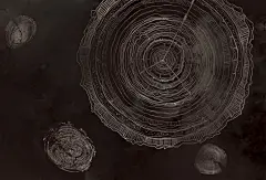 NEWDECO新蒂克定制壁画 北欧风格背景墙壁画 Time万物生长