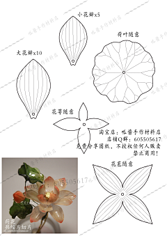 禾大米采集到手工